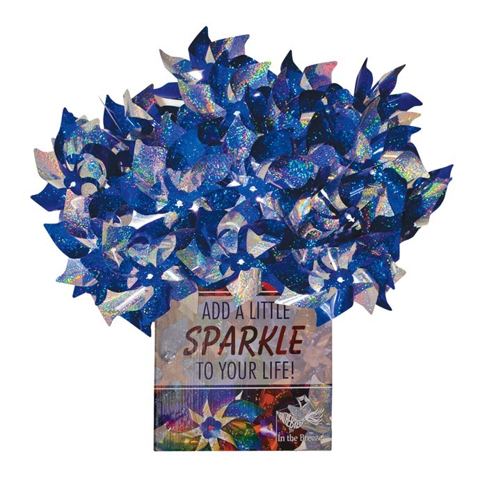 Blue Silver Spirit Pinwheels 48 Pc Pop Display In The Breeze